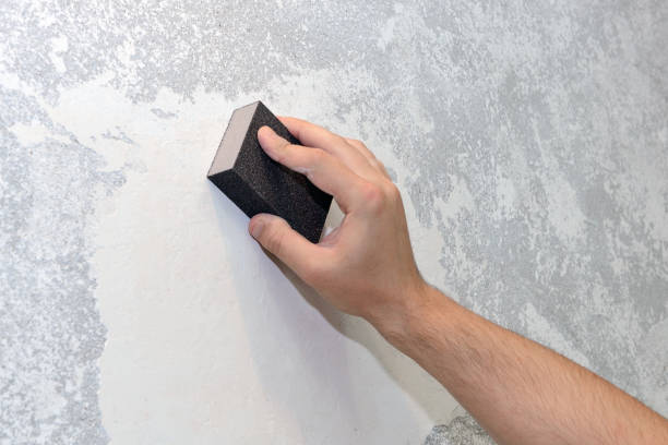Best Real Estate Mold Inspection  in Sunset, FL