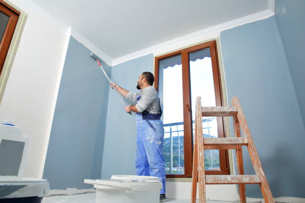 Best Mold-Related Health Consultation  in Sunset, FL